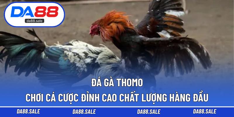 Đá Gà Thomo – Chơi Cá Cược Đỉnh Cao Chất Lượng Hàng Đầu
