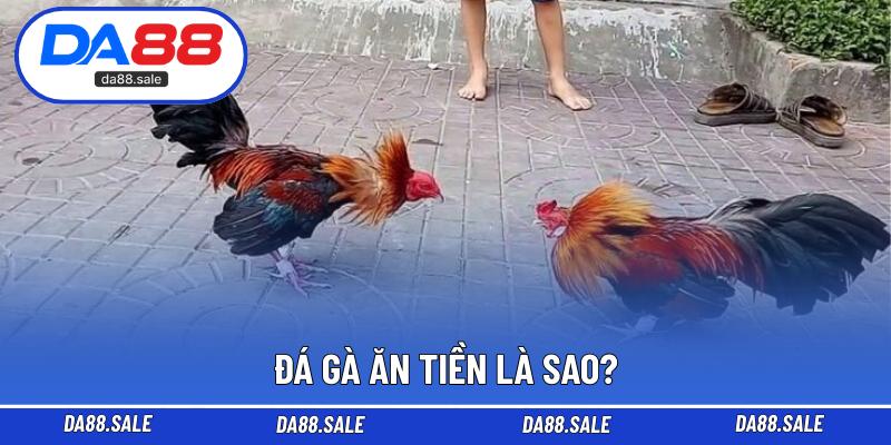 Đá gà ăn tiền là sao?